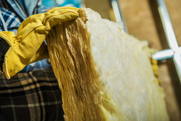 Best Residential Insulation in Alamo, TN