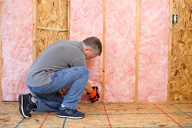 Best Insulation Maintenance and Repair in Alamo, TN