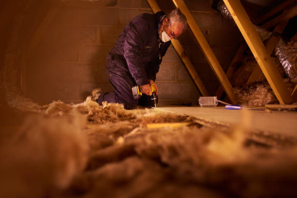 Best Insulation for Specific Applications in Alamo, TN